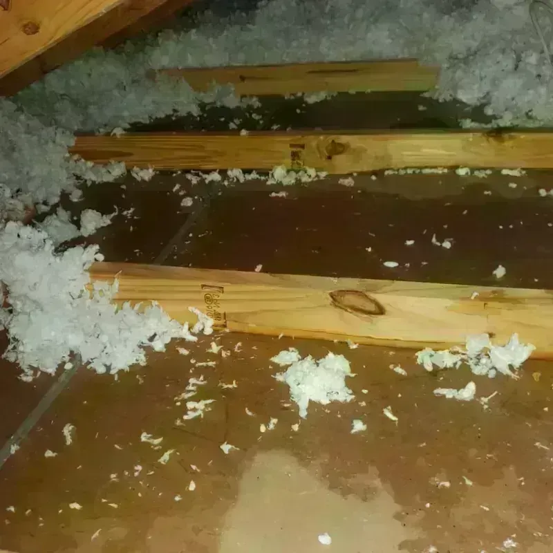 Attic Water Damage in Shenandoah, LA